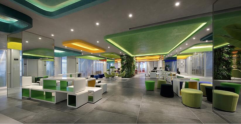 辦公室旺財的六種風水植物